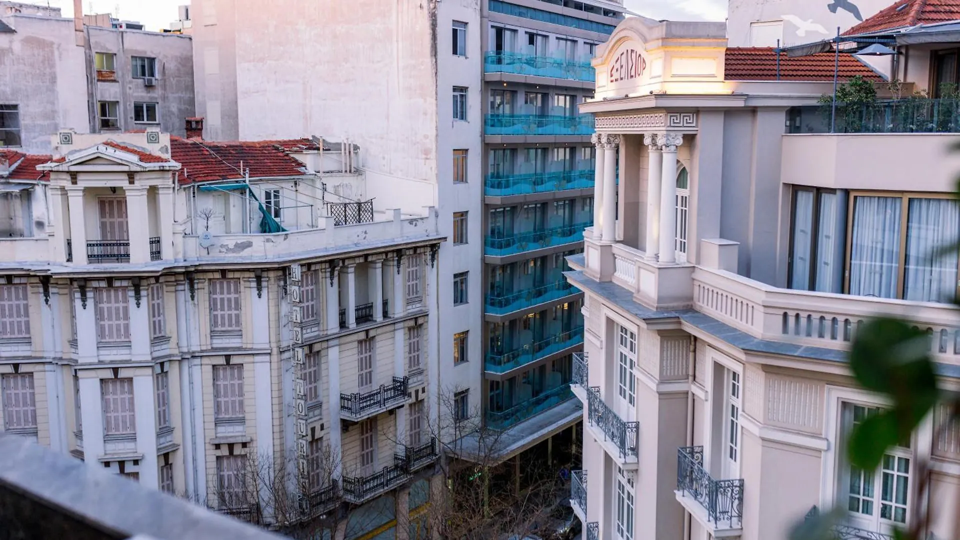 Luxury Downtown Apartment F1